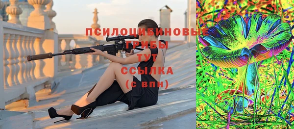 индика Магас