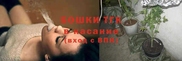 индика Магас