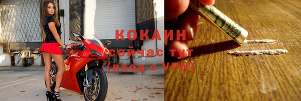 индика Магас