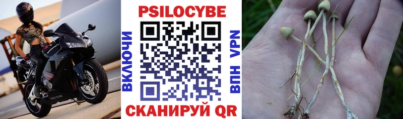 Галлюциногенные грибы ЛСД Раменское