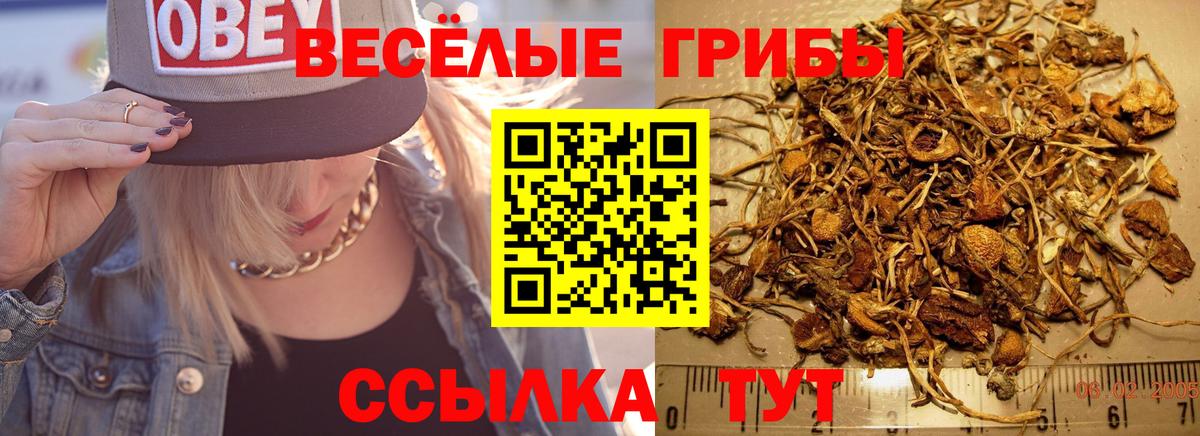 Раменское  Псилоцибиновые грибы прущие грибы  Вход с VPN 
